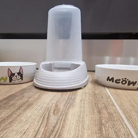 Liberta, Liguria * Rapallo